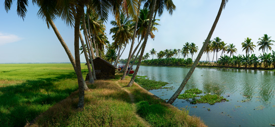 Kumarakom, Kottayam (Aqua-tourism)