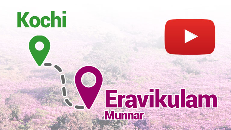 How to Reach Eravikulam from Kochi?