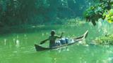 The Kerala Backwater Experience