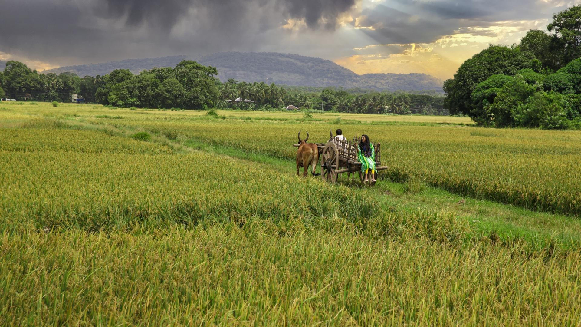 Kerala visual data 6