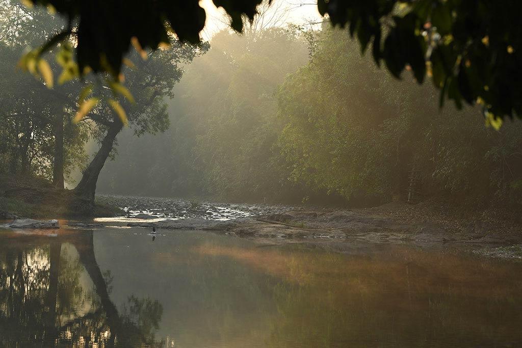Brilliant views of Nature | Aralam
