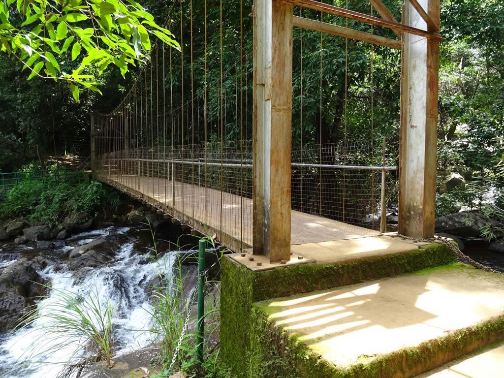 Hanging Bridge | Thusharagiri