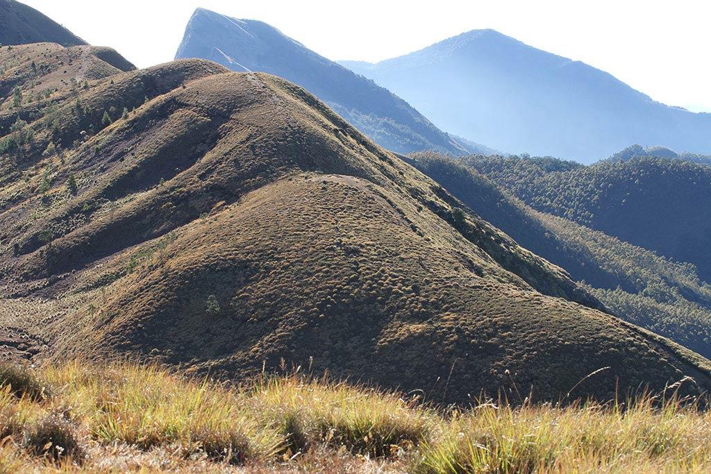 Meesapulimala hills | Munnar