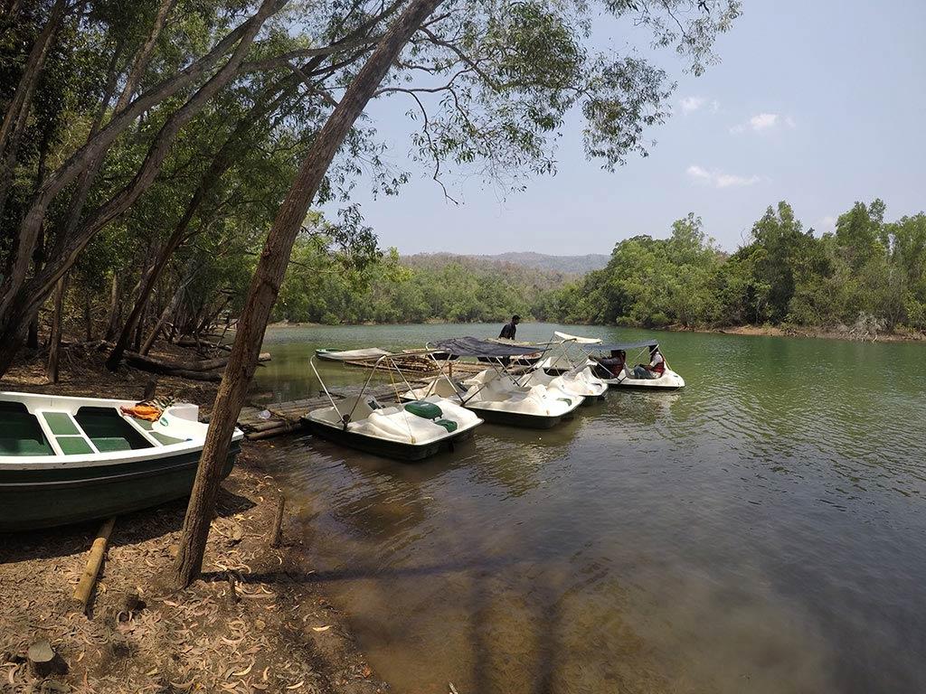 Pedal boats at Neyyar reservoir | Kottur