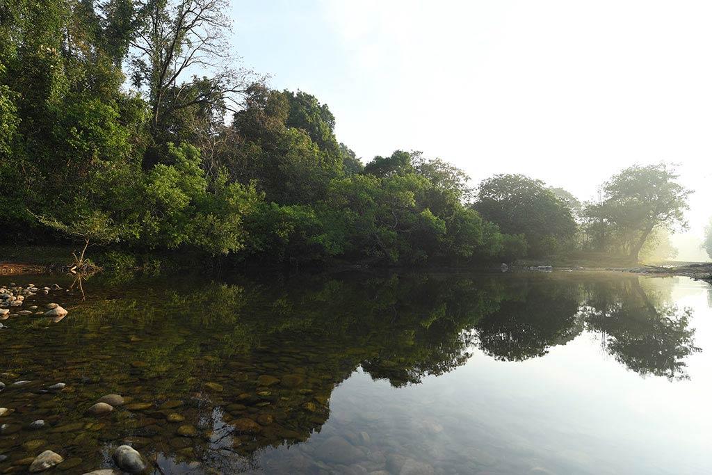 River Aralam | Aralam Wildlife Sanctuary
