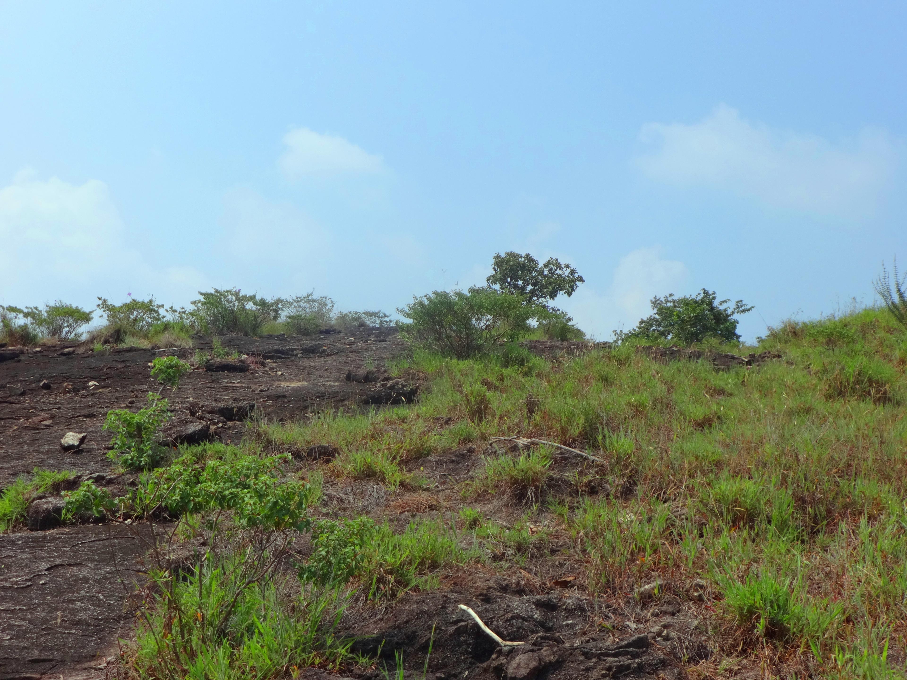 Trek to Kathirumudi |Kottur