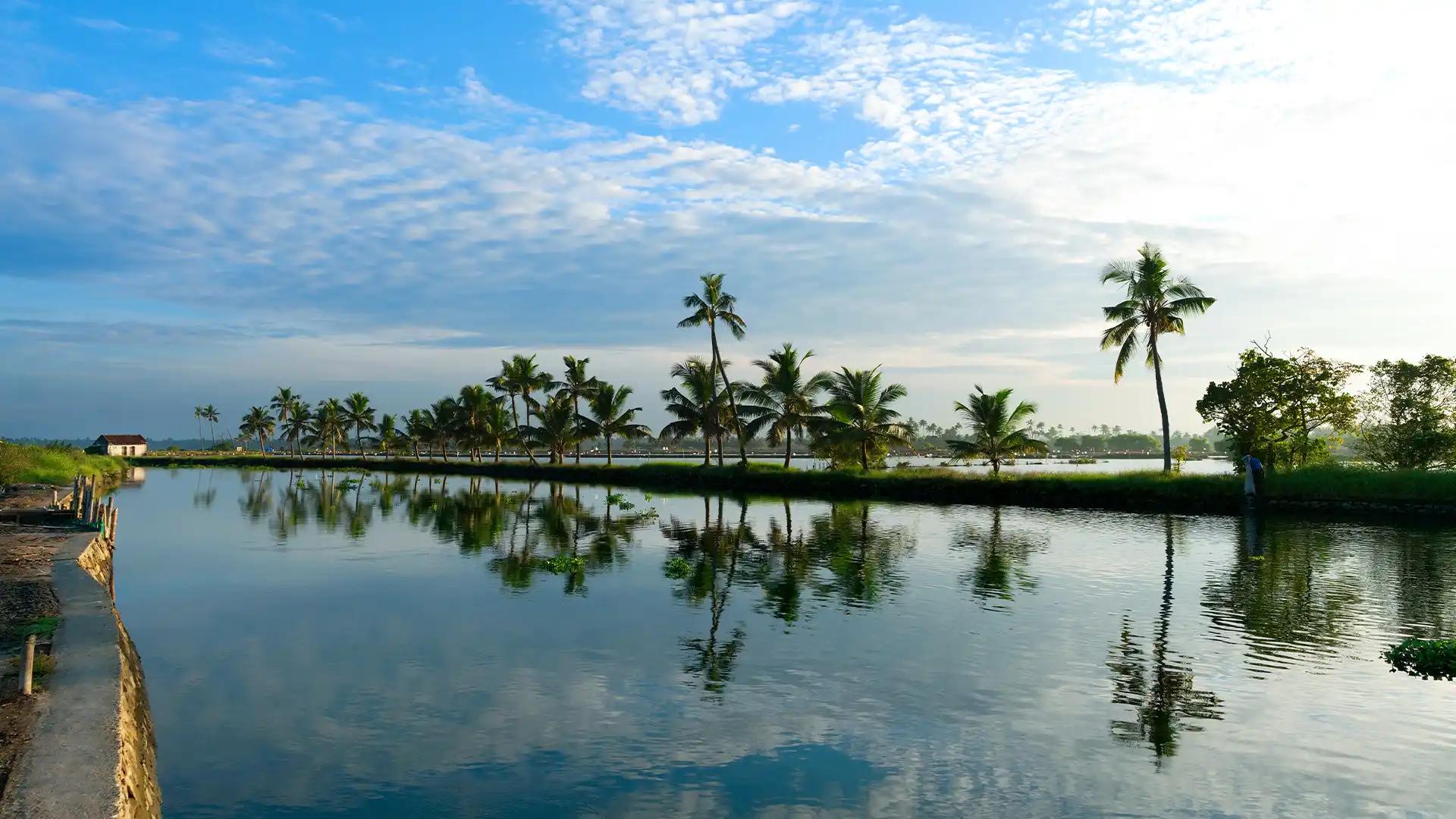 A canvas of reflections and coconut groves-Kadamakudy in all its rustic splendour