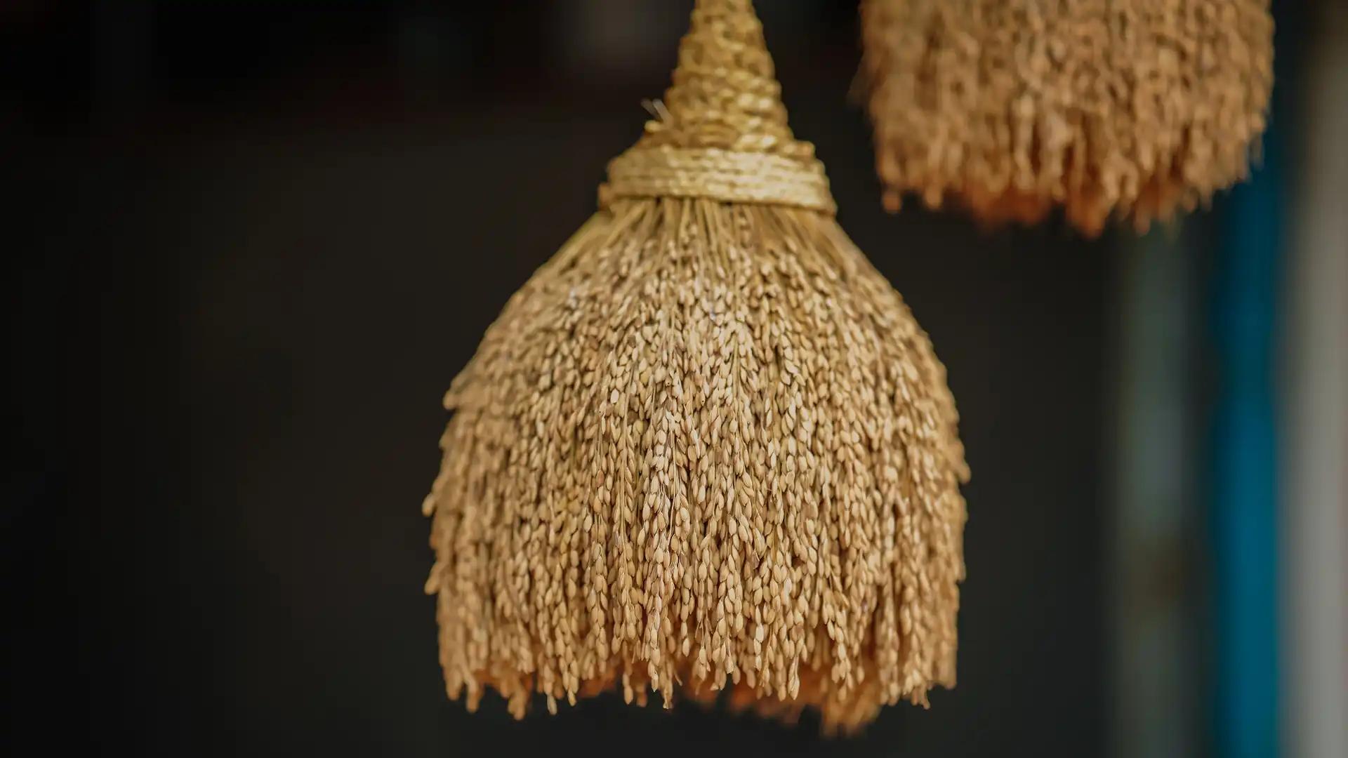 A bundle of ripened paddy, a bundle of blessings