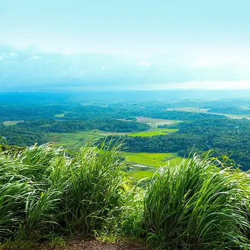 Kurumbalakotta View Point