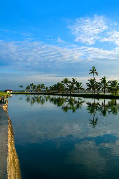 A canvas of reflections and coconut groves-Kadamakudy in all its rustic splendour
