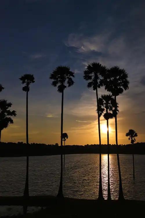 Kambalathara