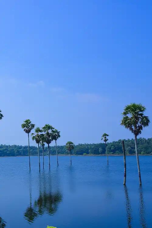 Kambalathara