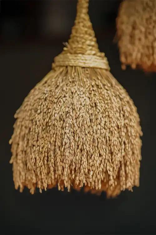 A bundle of ripened paddy, a bundle of blessings