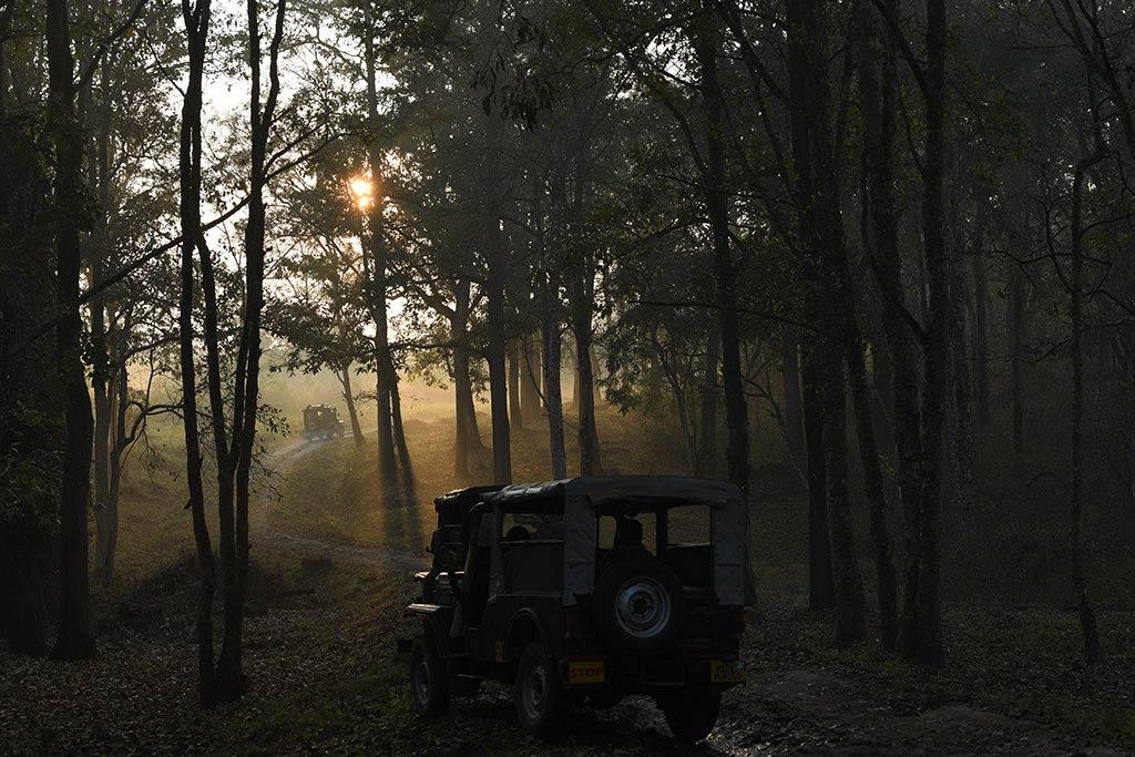 Early morning jeep ride through Muthanga | Wayanad Wildlife Sanctuary Early morning jeep ride through Muthanga | Wayanad Wildlife Sanctuary