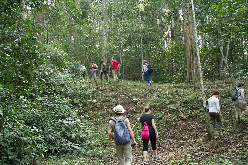 Feel nature’s whispers | Periyar Tiger Reserve Feel nature’s whispers | Periyar Tiger Reserve