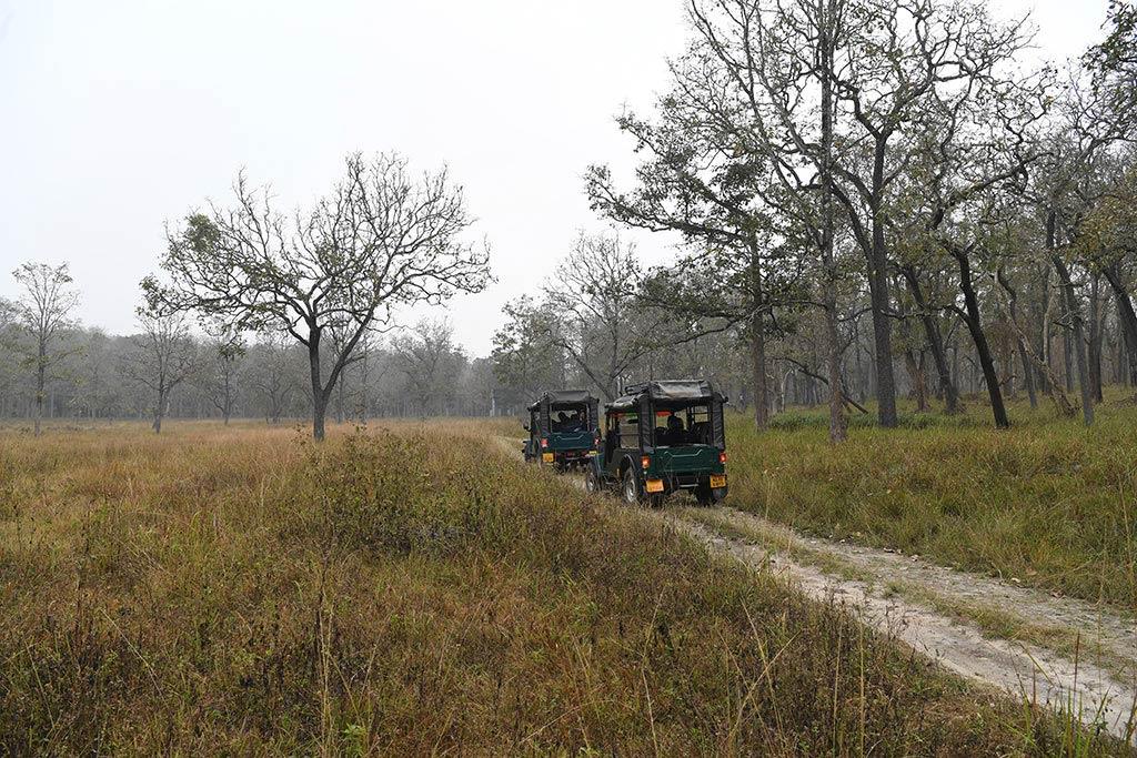 Jeep Safari at Muthanga | Wayanad Wildlife Sanctuary Jeep Safari at Muthanga | Wayanad Wildlife Sanctuary