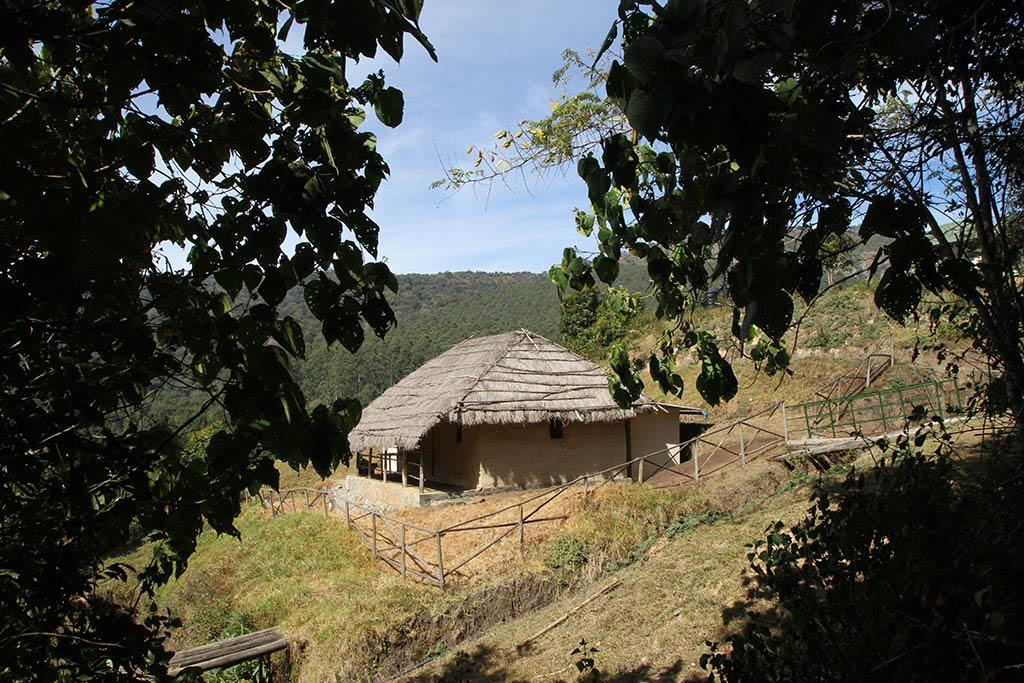 Log house inside the Park | Pampadum Shola National Park Log house inside the Park | Pampadum Shola National Park
