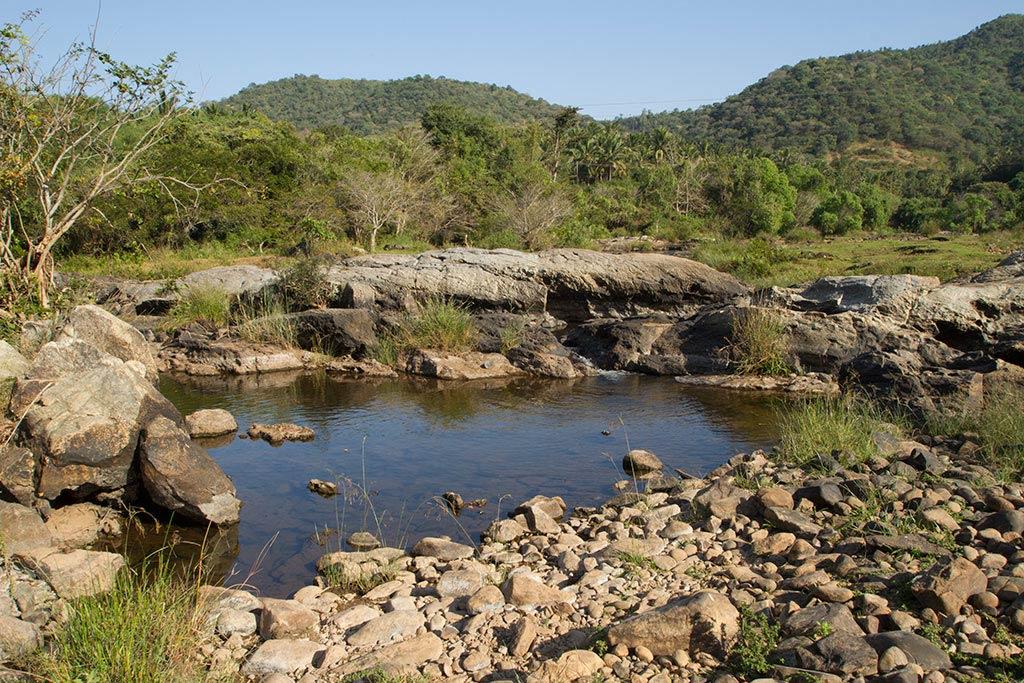 On the way to Boommiyampadi | Silent Valley National Park On the way to Boommiyampadi | Silent Valley National Park
