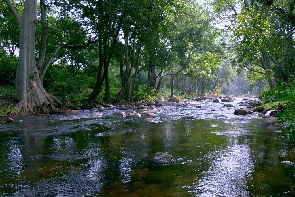 River Pambar inside Chinnar Wildlife Sanctuary | Chinnar River Pambar inside Chinnar Wildlife Sanctuary | Chinnar