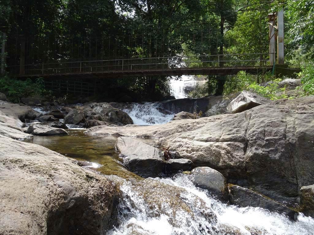 Thusharagiri falls and the trekking | Thusharagiri Thusharagiri falls and the trekking | Thusharagiri