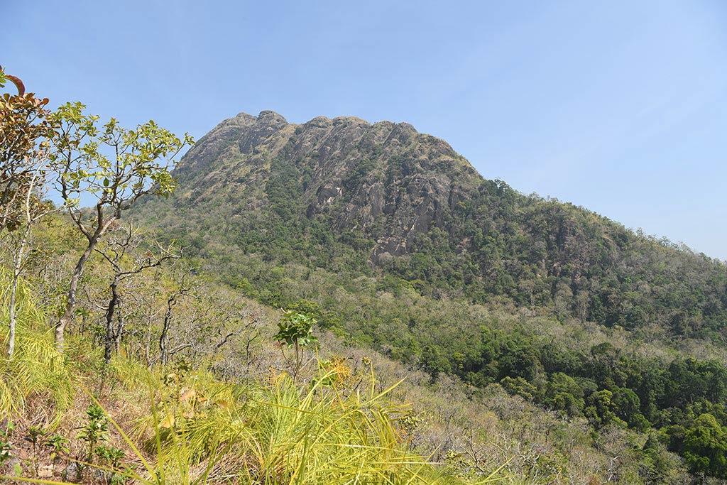 To the abode of Nilgiri tahr - Varayadumotta | Ponmudi To the abode of Nilgiri tahr - Varayadumotta | Ponmudi
