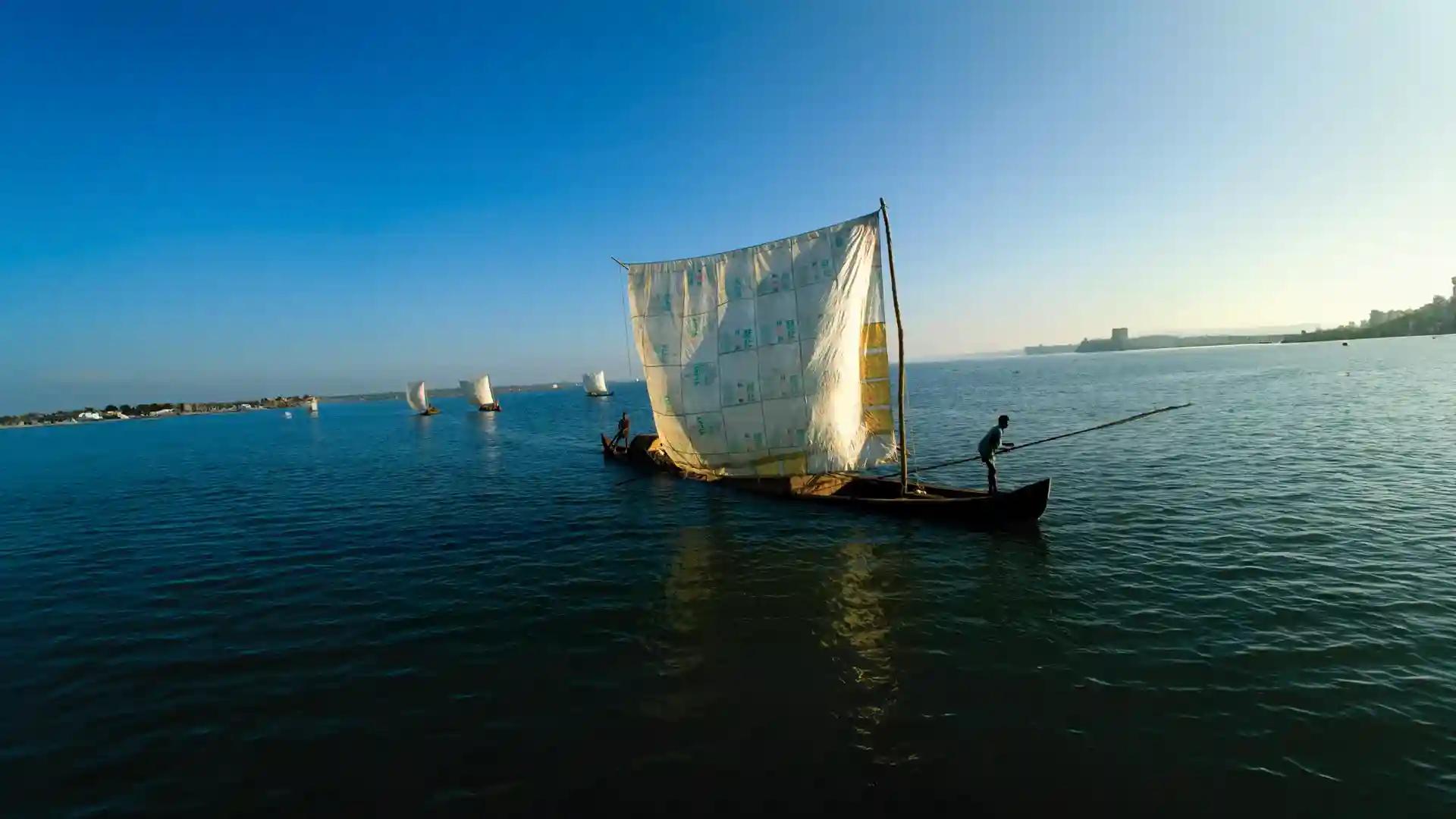 A backwater flotilla A backwater flotilla