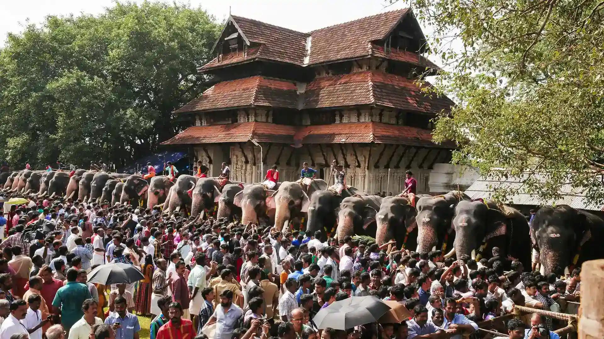 Aanayoottu at Vadakkumnathan Temple Aanayoottu at Vadakkumnathan Temple