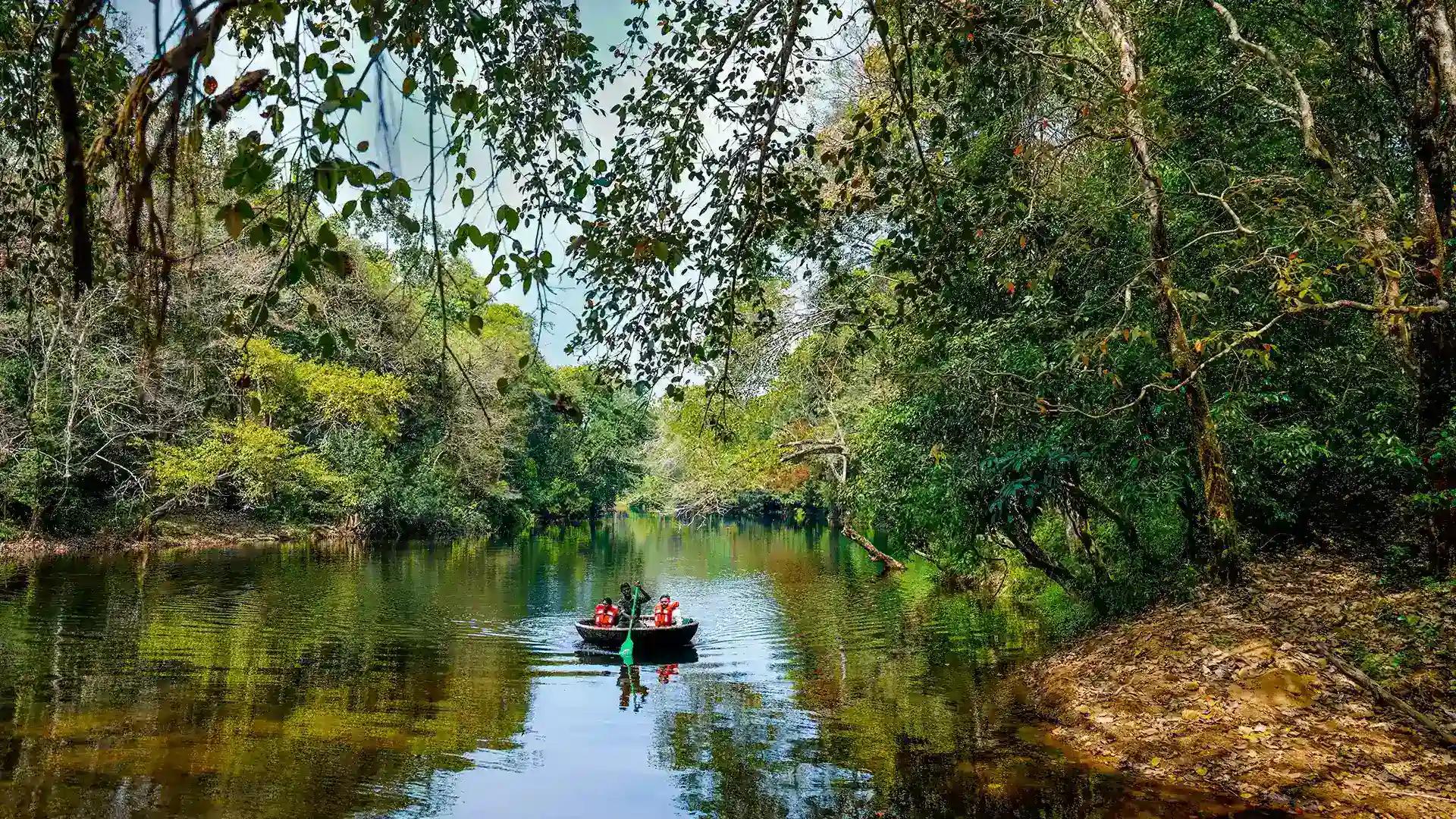 Adavi Eco-Tourism - Experience the Thrill of Coracle Boating Adavi Eco-Tourism - Experience the Thrill of Coracle Boating