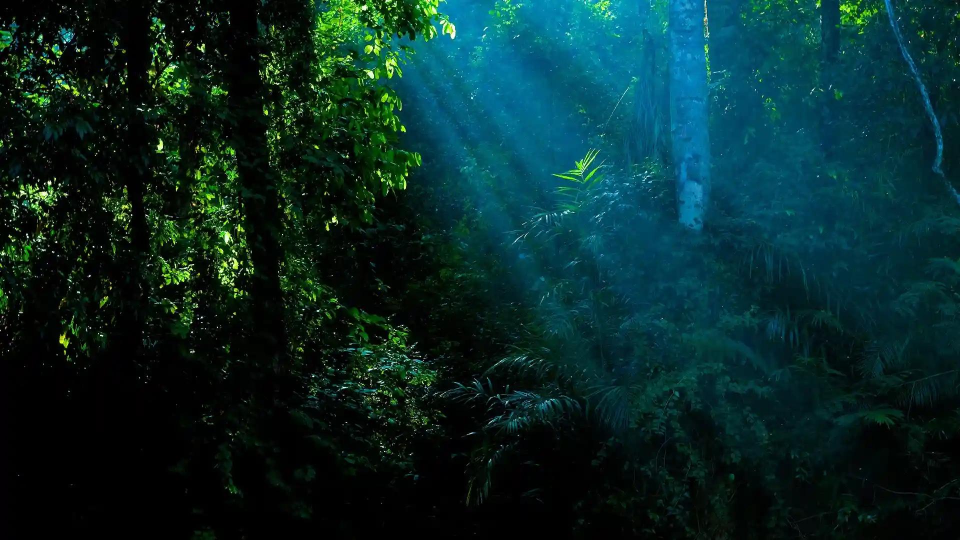 Arippa Ecotourism Village Arippa Ecotourism Village