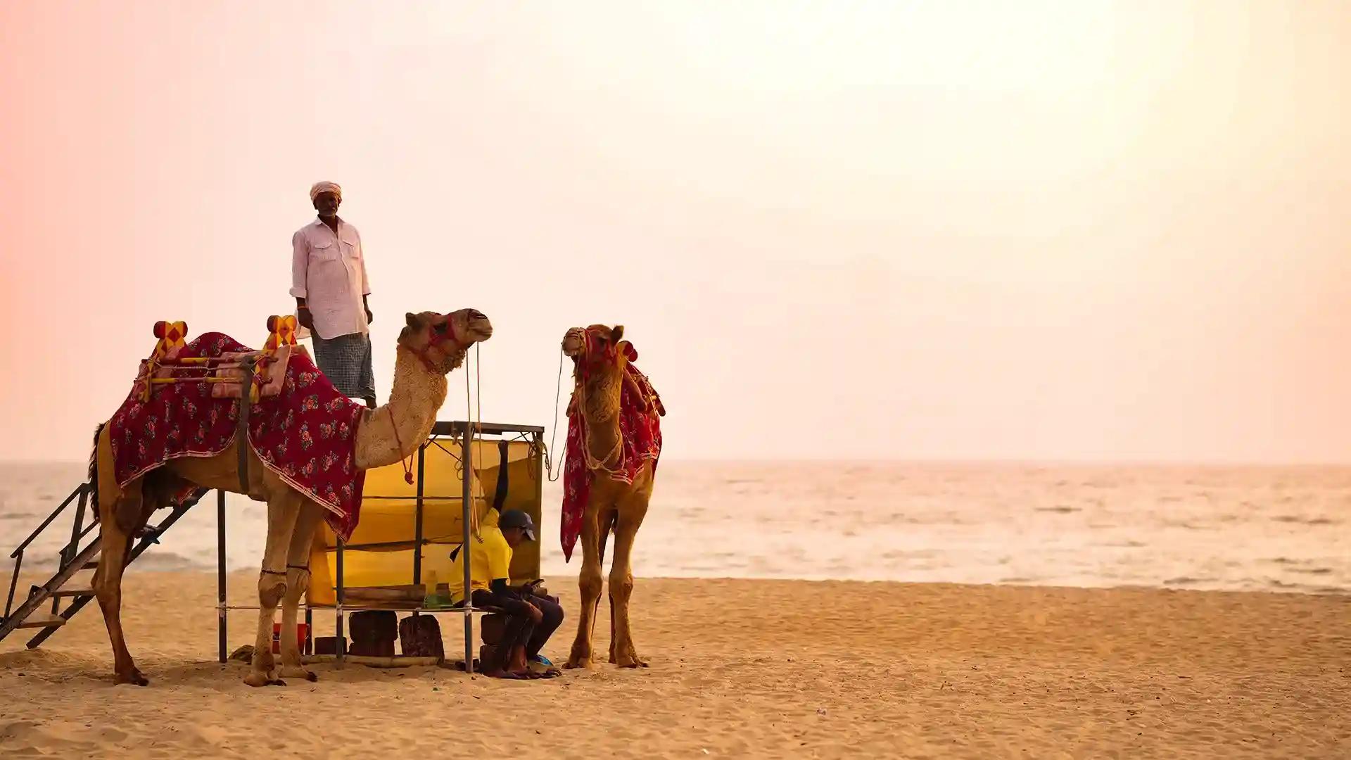 Bekal International Beach Festival Bekal International Beach Festival