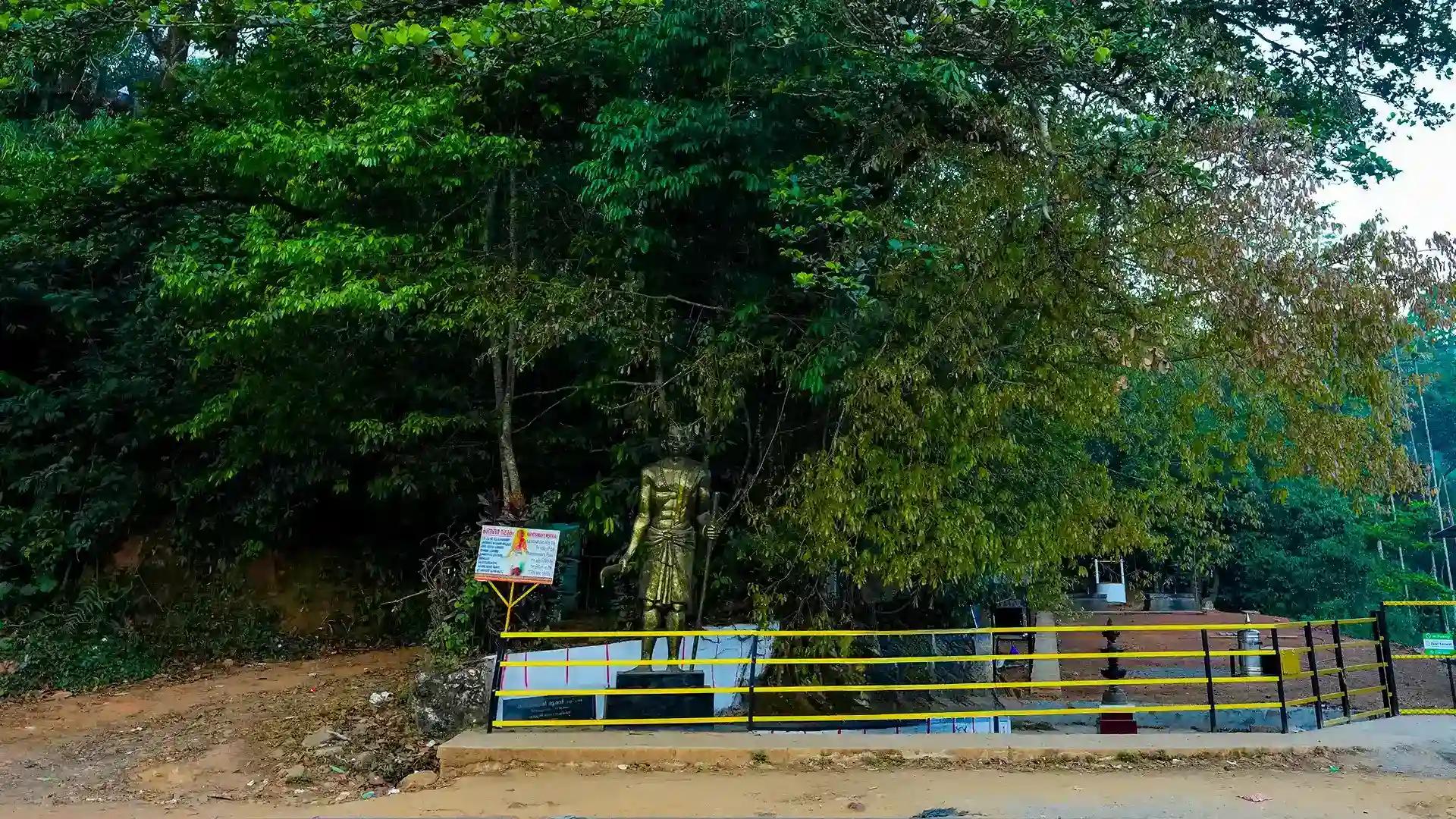 Chain Tree, Lakkidi Chain Tree, Lakkidi