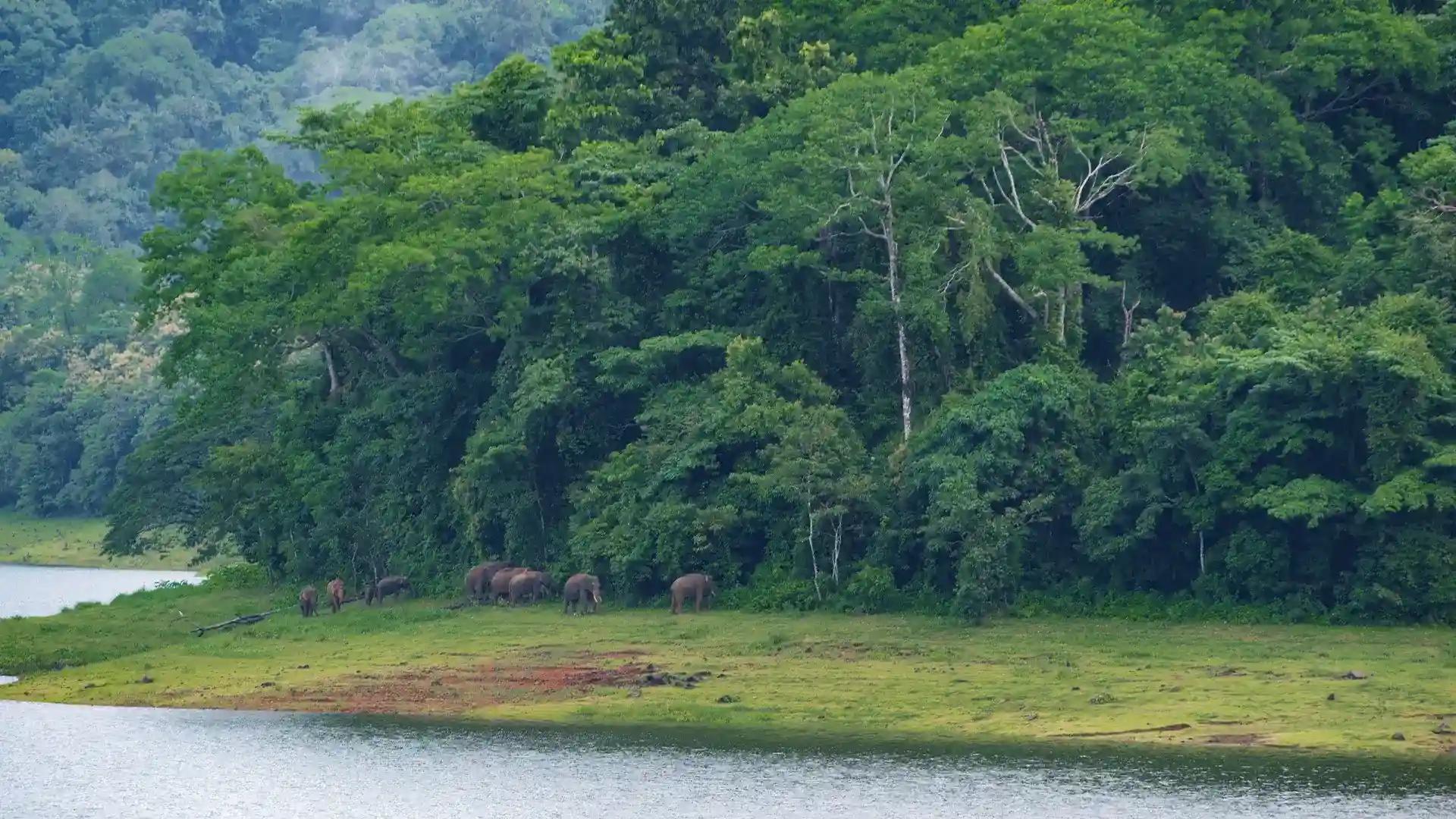 Chimminy Wildlife Sanctuary Chimminy Wildlife Sanctuary