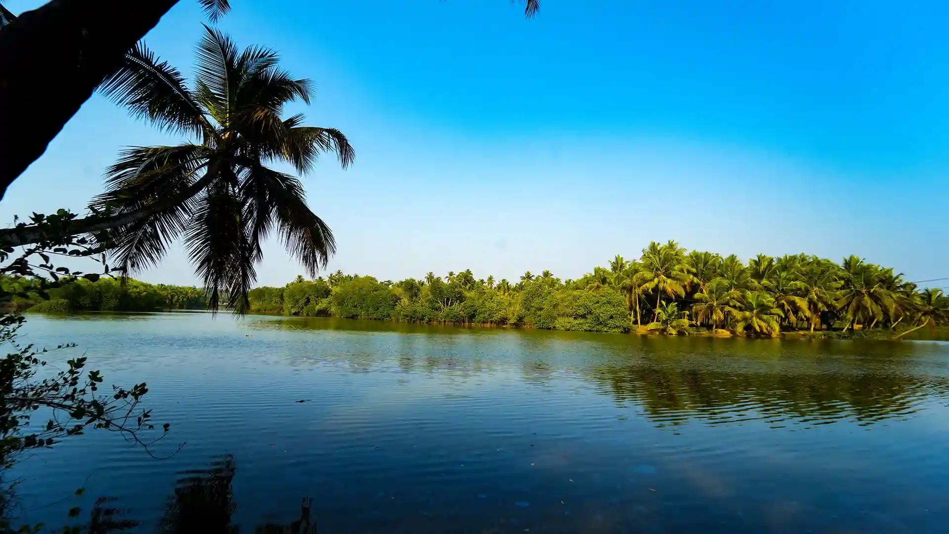 Chithari, Kasaragod Chithari, Kasaragod