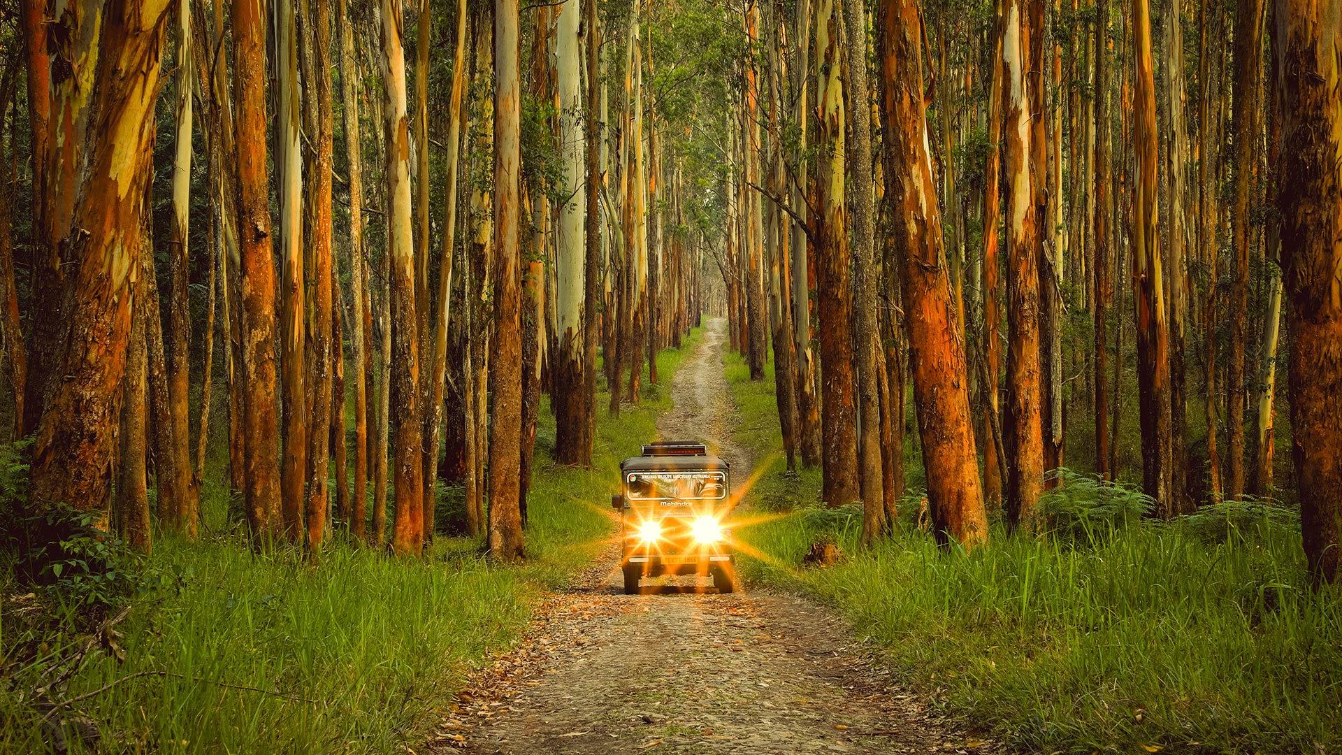 Districts in Kerala Districts in Kerala