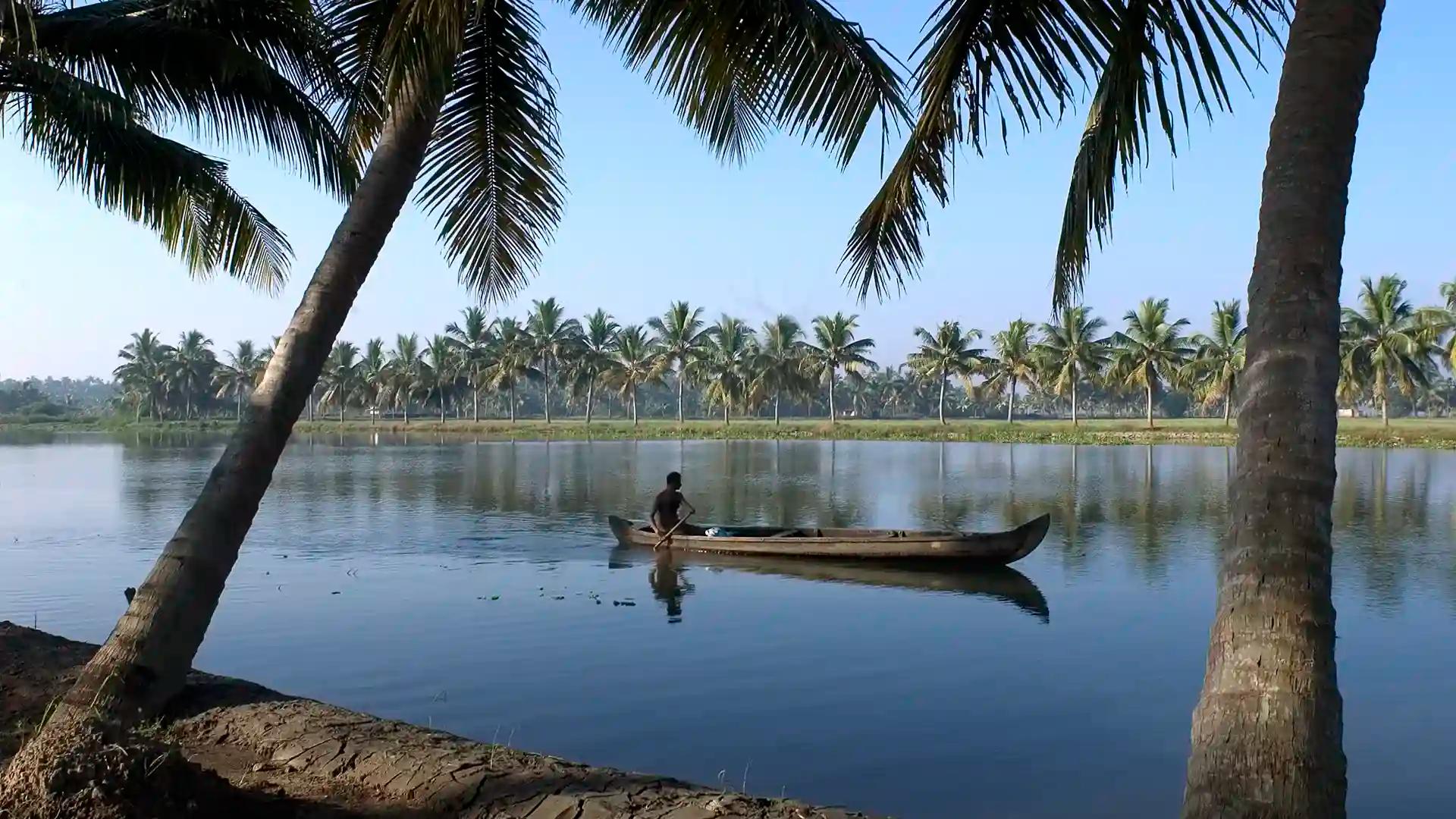 Early morning sights on the backwater stretches of Kerala Early morning sights on the backwater stretches of Kerala