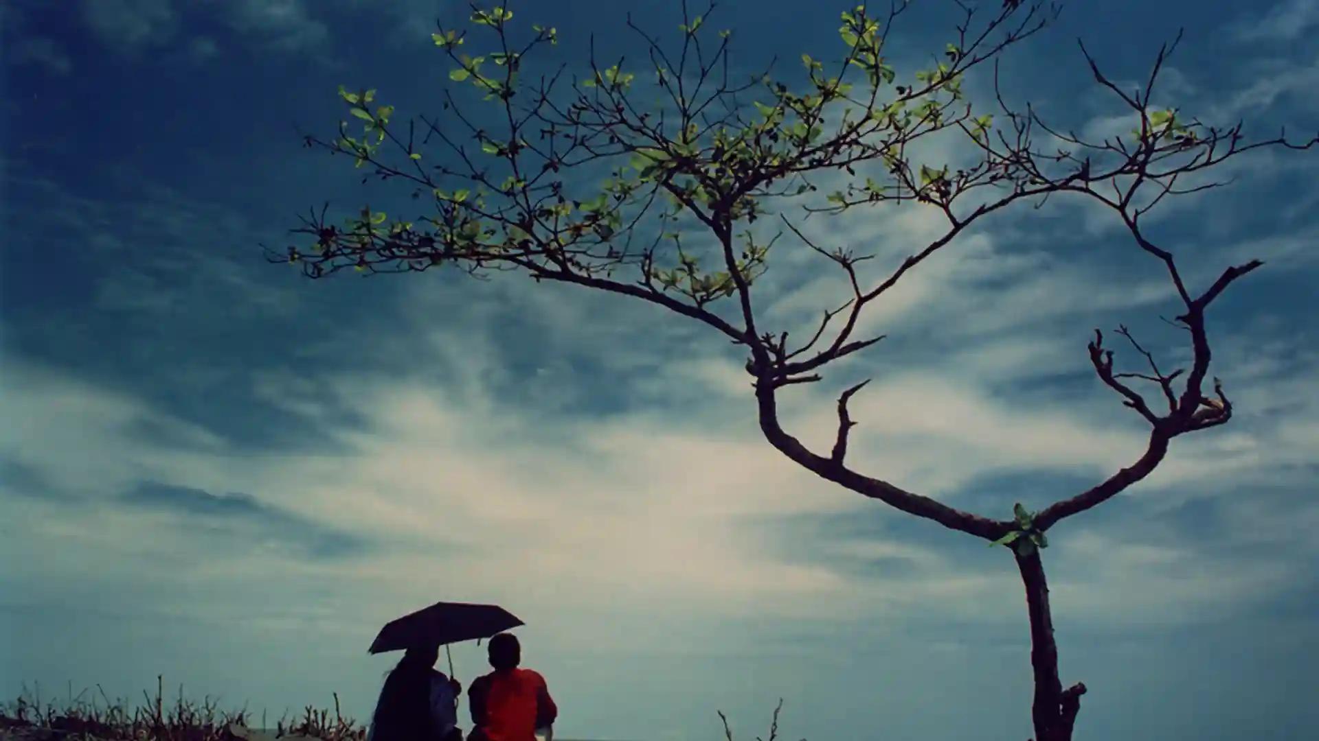 Fort Kochi Beach Visuals Fort Kochi Beach Visuals