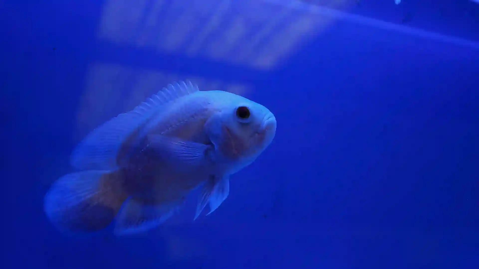 Haritha Bio-park Haritha Bio-park