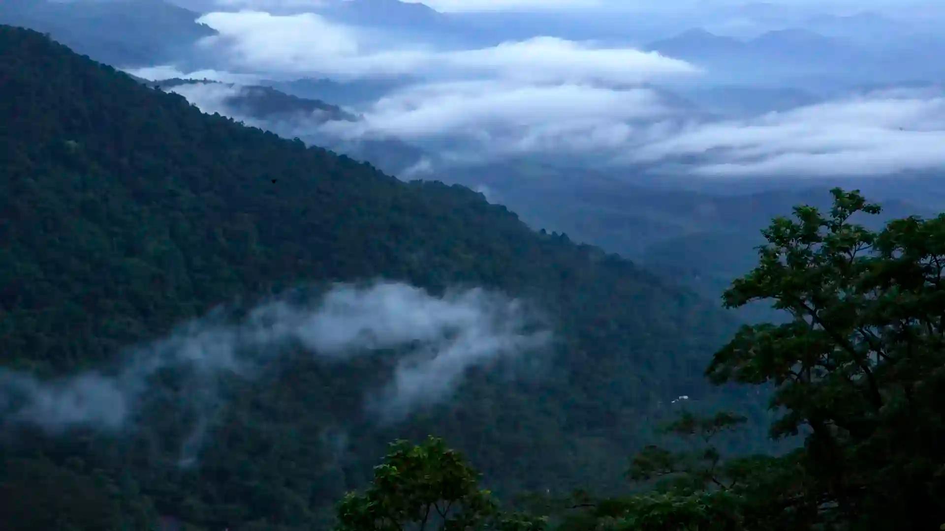 Hills of Wayanad Images Hills of Wayanad Images