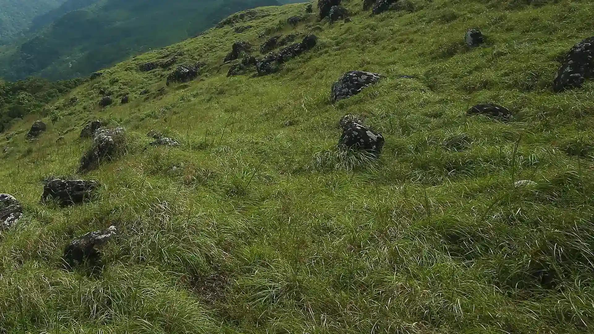 Kannadipara Kannadipara