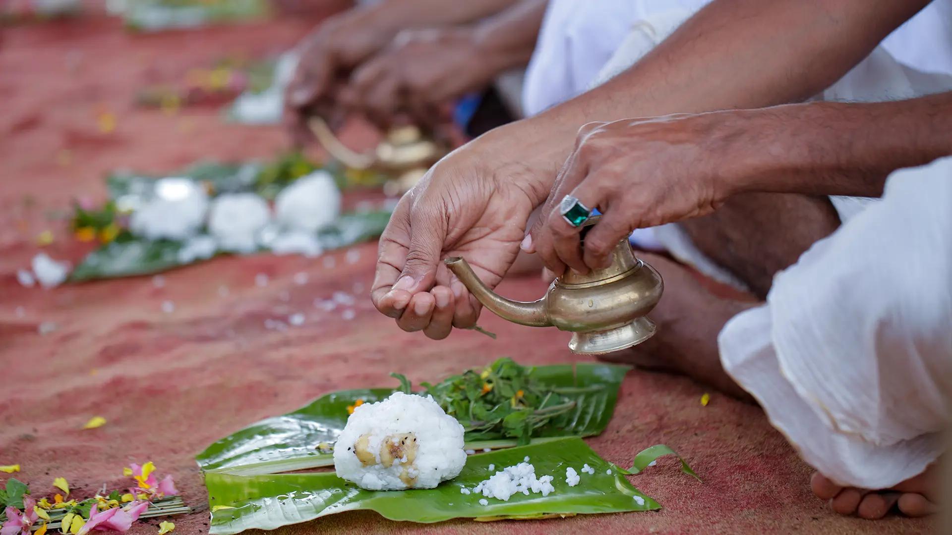 Water, rice, and reverence Water, rice, and reverence
