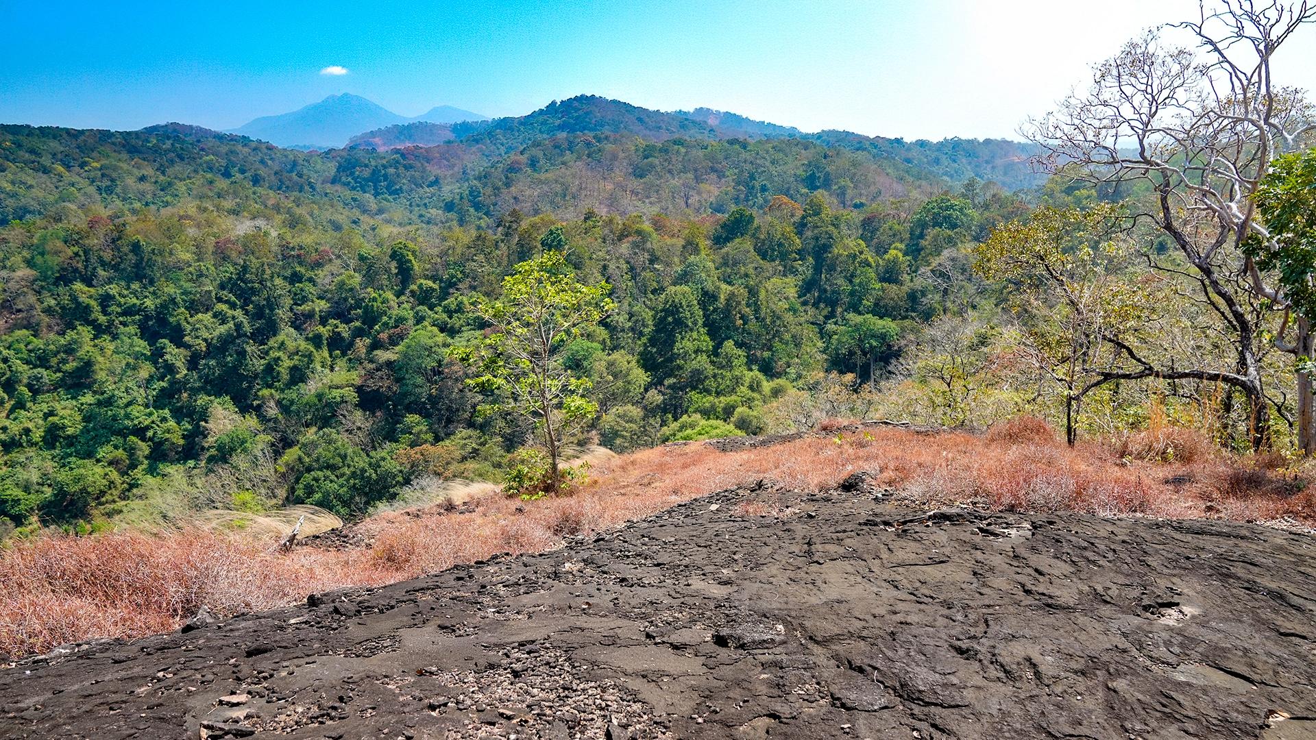 Kokkathodu, Pathanamthitta Kokkathodu, Pathanamthitta