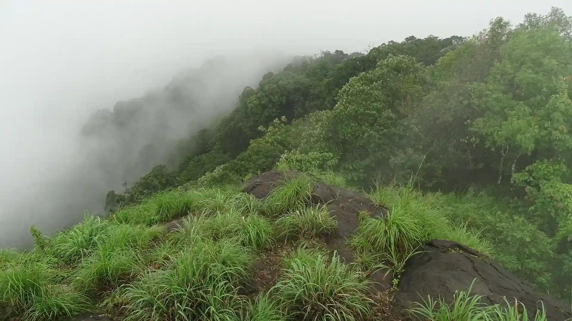 Kottanchery Hills, Kasaragod Kottanchery Hills, Kasaragod