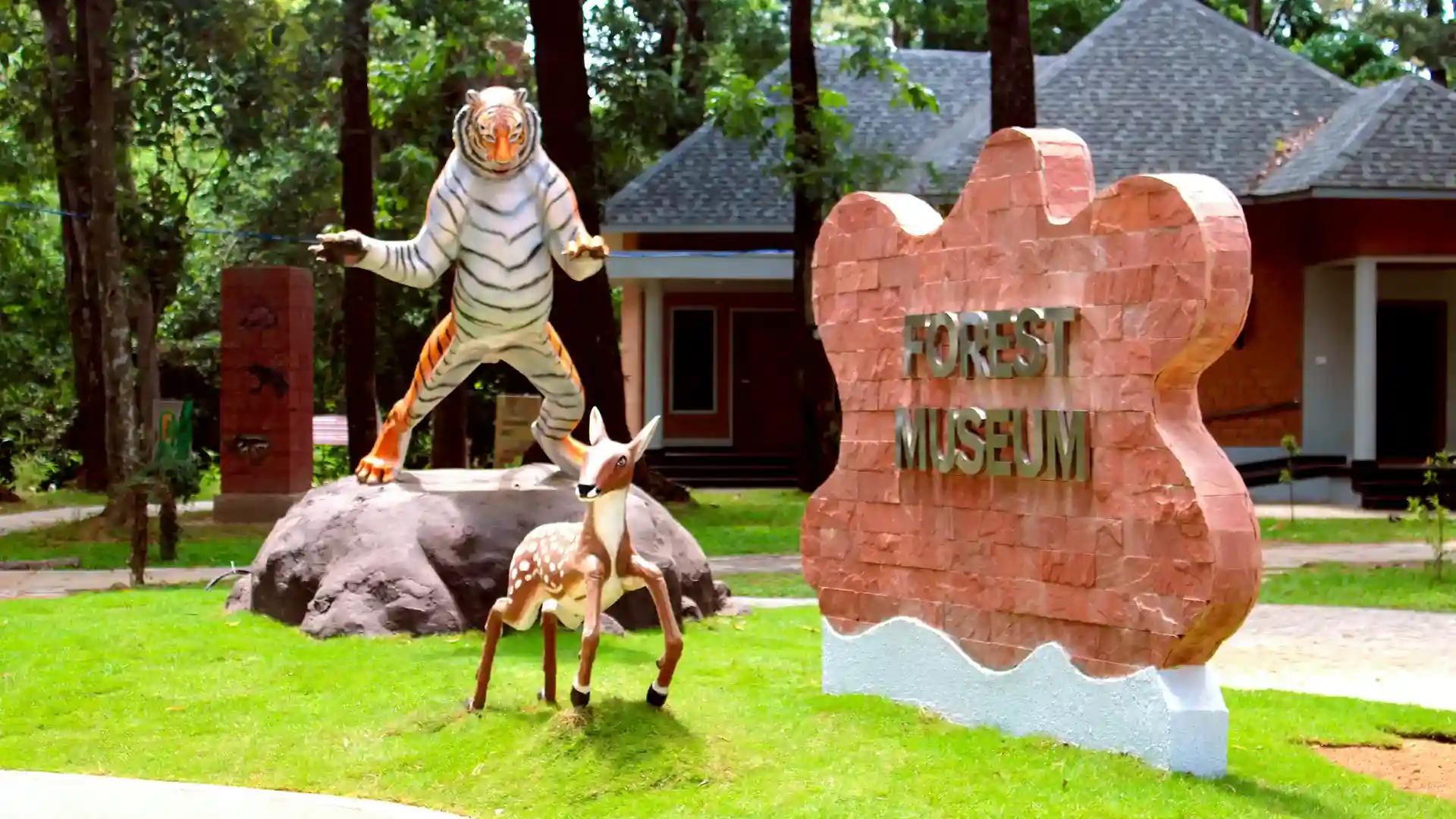 Kulathupuzha Forest Museum Kulathupuzha Forest Museum