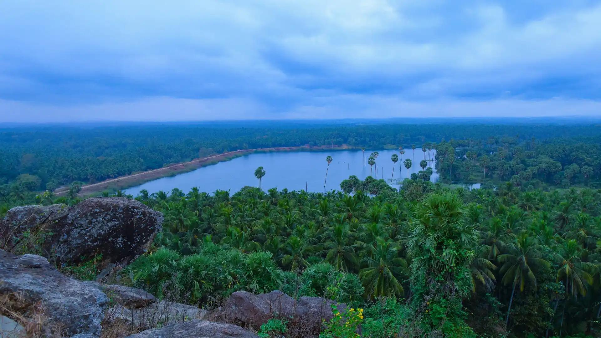 Kunnampidari Hill: A Scenic Overlook Amidst Palakkad’s Lush Greenery Kunnampidari Hill: A Scenic Overlook Amidst Palakkad’s Lush Greenery