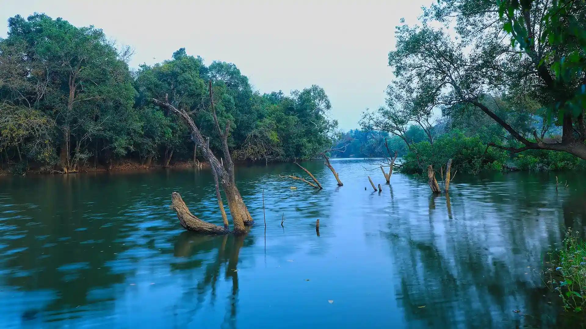 Kuruvadweep Kuruvadweep