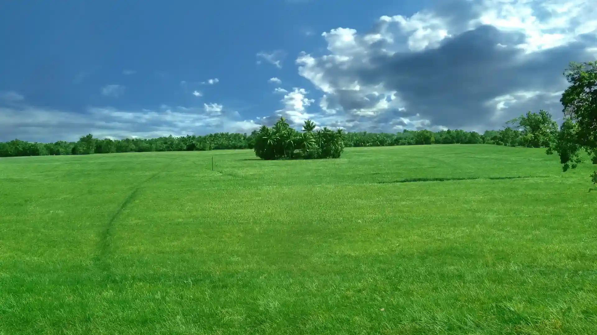 Kuttanad in Alappuzha Kuttanad in Alappuzha