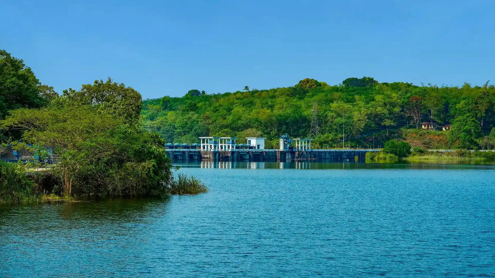 Malankara Dam : A Picturesque Escape in Idukki Malankara Dam : A Picturesque Escape in Idukki