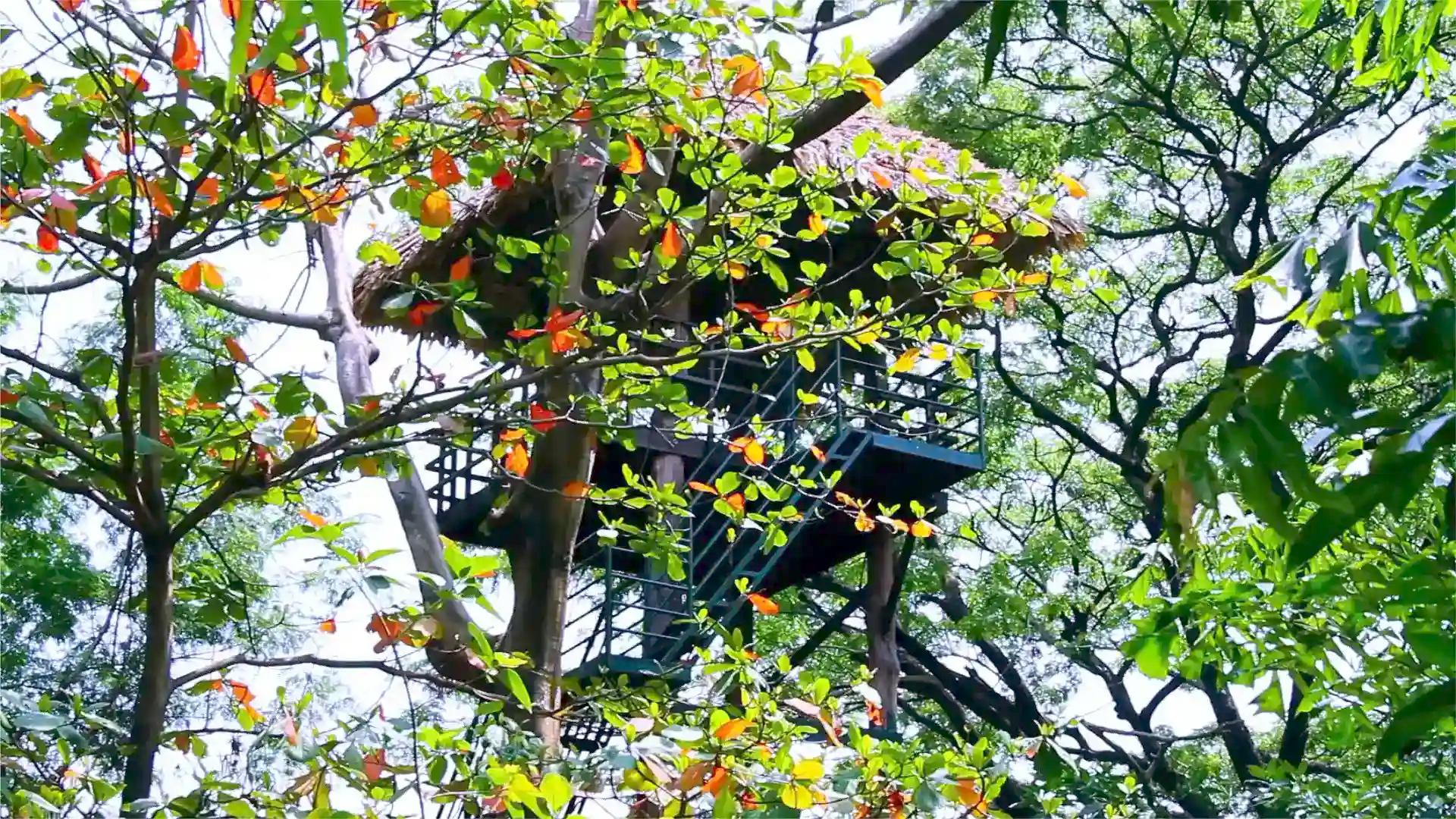 Mangalavanam Bird Sanctuary Mangalavanam Bird Sanctuary