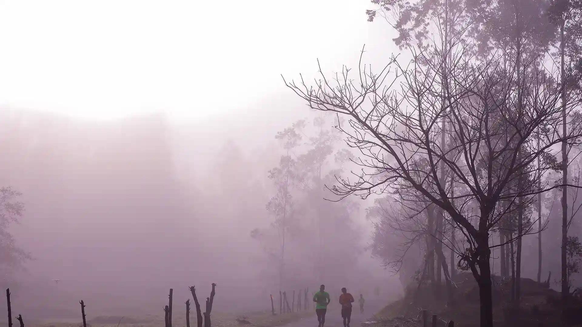 Misty Dawn at Western Ghats Misty Dawn at Western Ghats