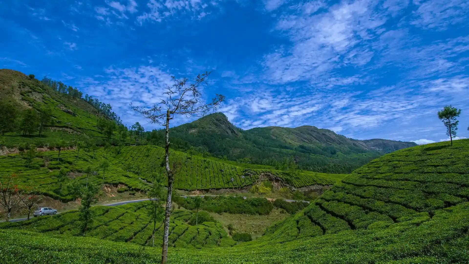 Munnar Hill Station in Idukki Munnar Hill Station in Idukki